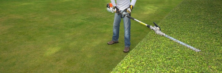 Wall Mural - hedge trimming