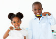 © WavebreakMediaMicro - Smiling brother and sister brushing their teeth