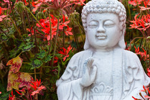 Buddha Among The Geraniums