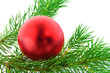 Christmas branch fur-tree with red boll