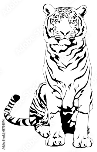 人気のダウンロード 虎 イラスト 白黒