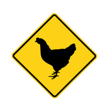 Road Sign - Chicken Crossing