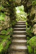 Stone Stairs At Nature