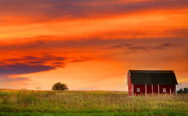 Farm Landscape