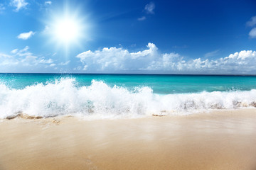 Wall Mural - sea and sand