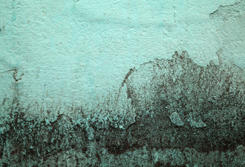 Fototapeta grunge turquoise texture background