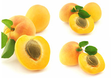 Sweet Apricot