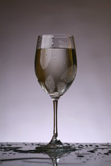 Wall Mural - wine glass