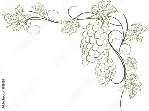 Wein, Weinrebe, Ranke, Weinblätter, Weintrauben, wine ...