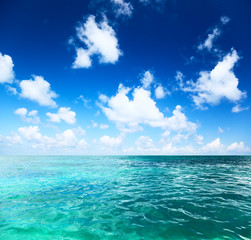 Wall Mural - ocean and perfect sky