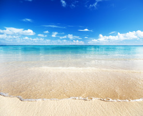 sand of beach caribbean sea