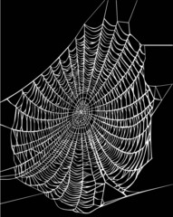 Wall Mural - white web illustration
