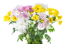 Chrysanthemum Bouquet Isolated On White