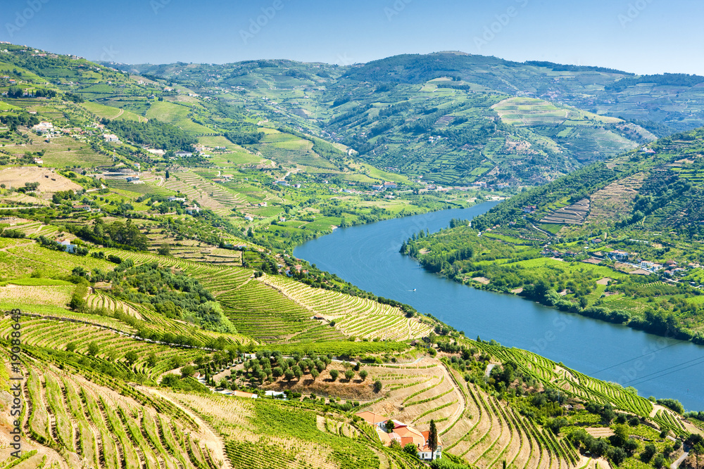 vineyars in Douro Valley, Portugal - obrazy, fototapety, plakaty 