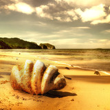 160_f_19099658_8lcllz3pjnpnkvfrvjzffxgwqeu3jvgi