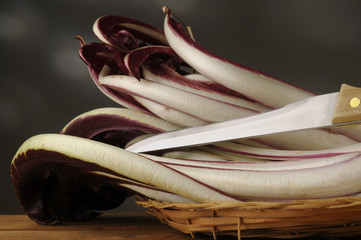 Radicchio rosso tardivo