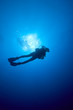 Plongeurs dans le bleu, mer tropicale