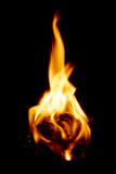 Fototapeta  - Beautiful Flame on black background