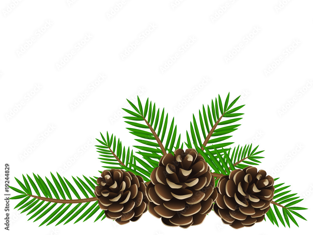 Tannenzapfen mit Tannenzweigen Stock Vector