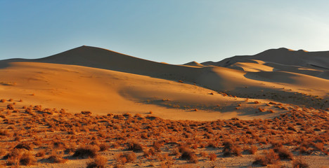 Wall Mural - The greater sandy dune Eureka on sunrise