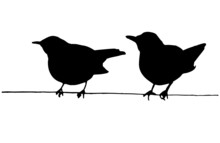Two Birds On The Wire Vector Silhouettes