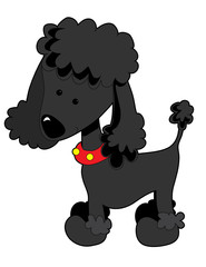 Poodle Black