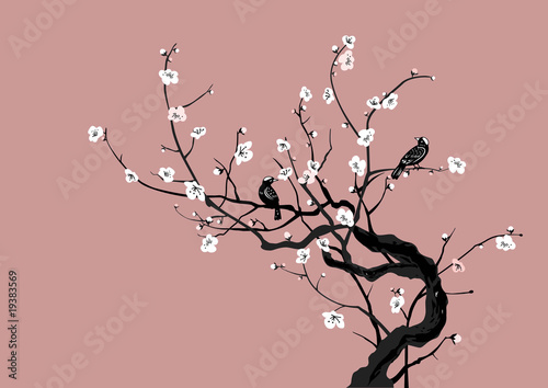 Tapeta ścienna Sakura i ptaki
