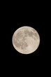 © courtyardpix - full moon