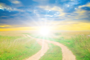 Canvas Print - road field landscape