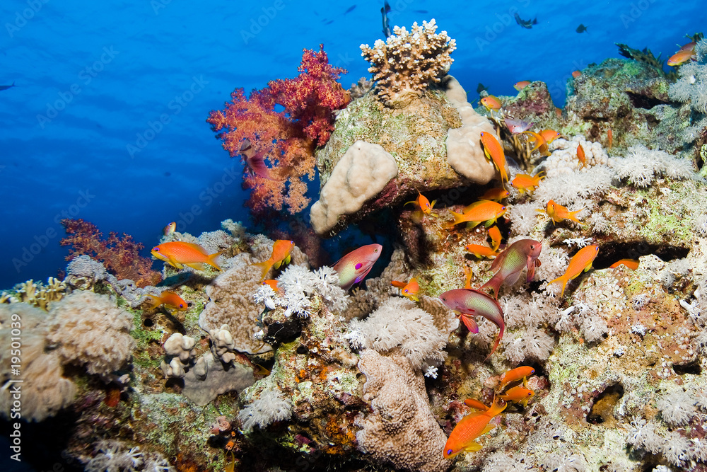 la surface vue d'en dessous