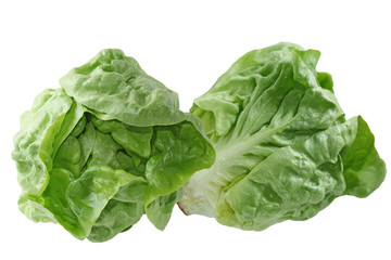 Wall Mural - Boston Lettuce