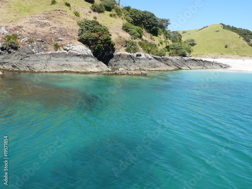 Plage De La Bay Of Islands Nouvelle Zélande Buy This