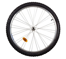 Front Wheel Of A Mountain Bike Isolated On White