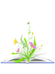 Poster - open book with flowers and green grass