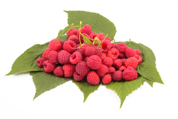 Fresh raspberries