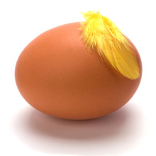 Egg With Feather