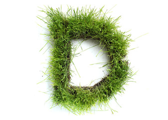 Letters made of grass - D