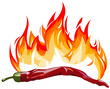 Red hot pepper with flames