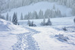 canvas print picture - spuren im schnee