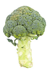 Canvas Print - Broccoli