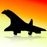 Fototapeta Dinusie - airplan silhouettes