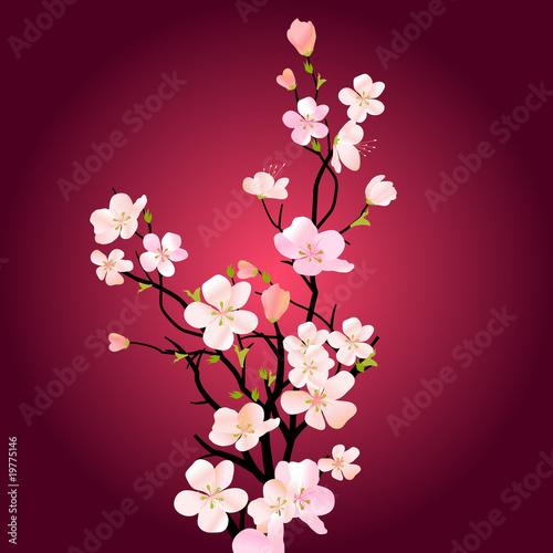 Naklejka samoprzylepna Kwitnące drzewa