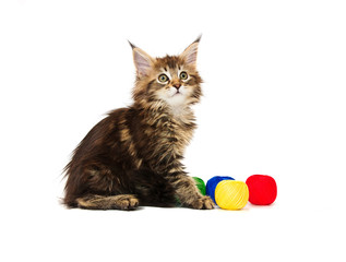 Sticker - Kitten with multi-coloured balls of threads