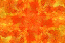Abstract Background: Autumnal Maple Leaves (SOFT FOCUSED)