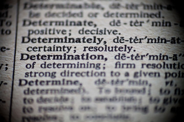Definition of Determination