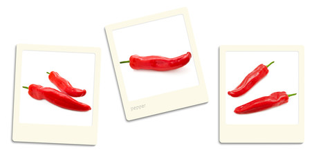 Sticker - pepper photos