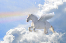 Pegasus In The Clouds