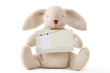 rabbit holding blank card
