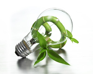 Wall Mural - light bulb on bamboo