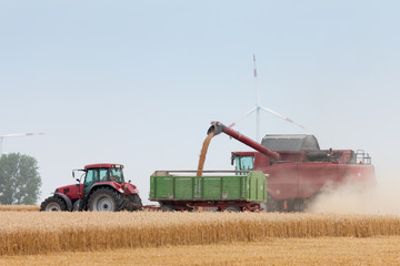 Grain harvest being brought in